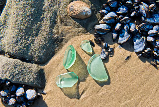 Picture of 4 pieces of sea glass on the sand.