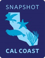 Snapshot Cal Coast Art_01-02
