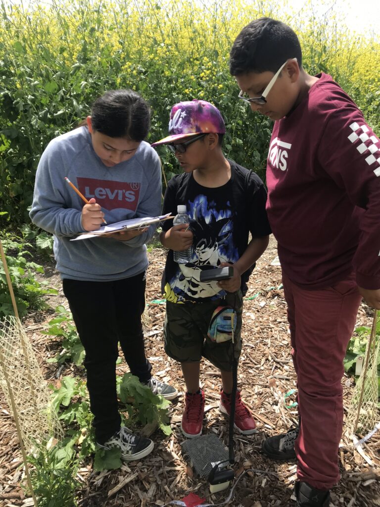 Three students gather around a research plot at the Project Crystal research site, recording their observations on a clipboard.