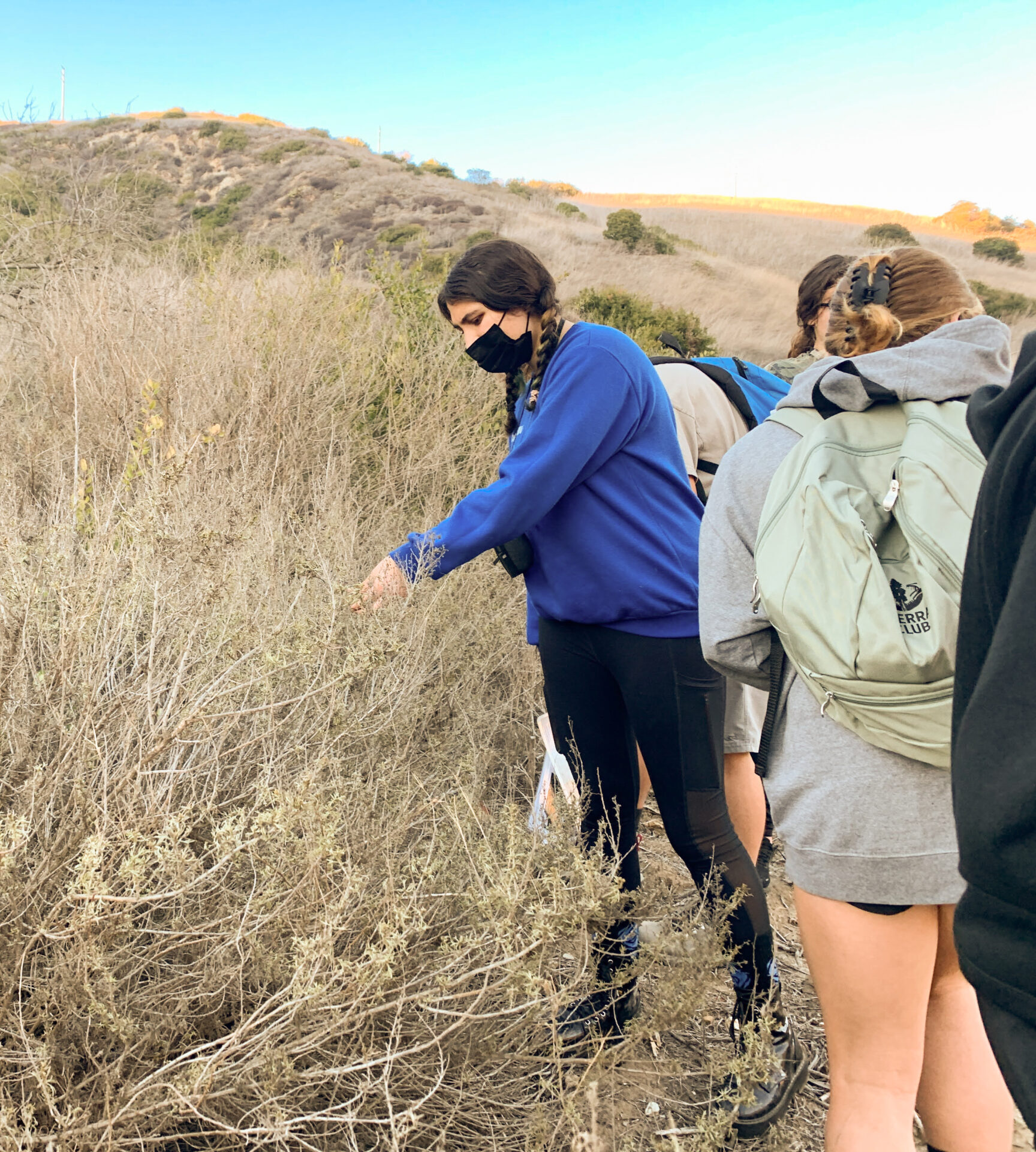 Fire Ecology Internship Crystal Cove Conservancy