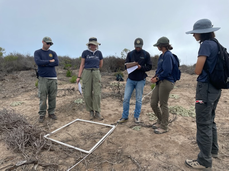 Natural Resource Summer Internship Crystal Cove Conservancy