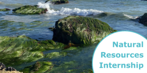 "Natural Resources Internship" title above shoreline rocks covered in seagrass.