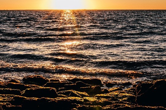 Sunset over a seaweed-covered rocky shoreline