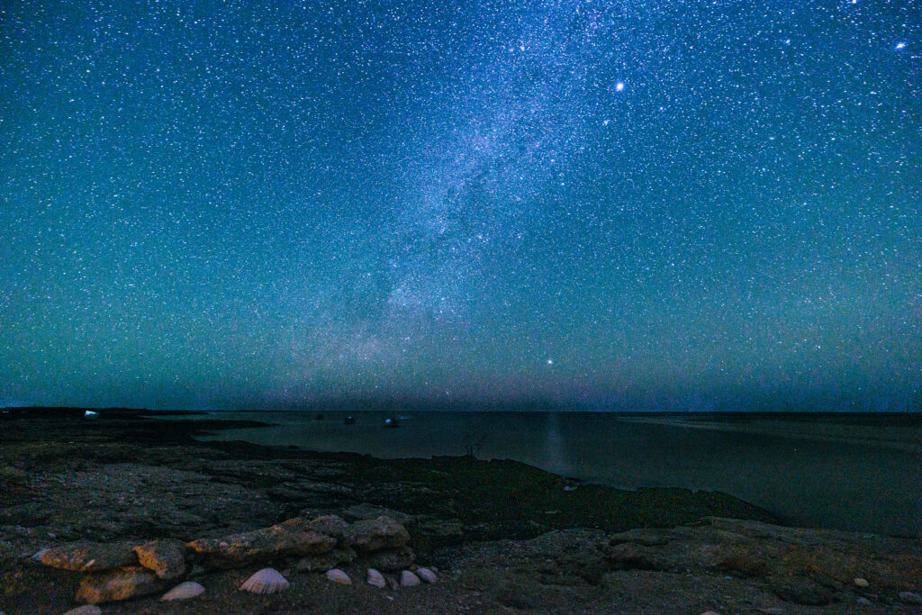 Beach underneath a dark blue sky filled with stars