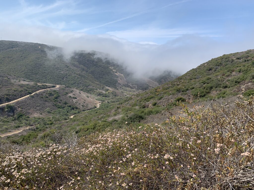 Hills covered in coastal scrub, lemonade berries, and low lying clouds