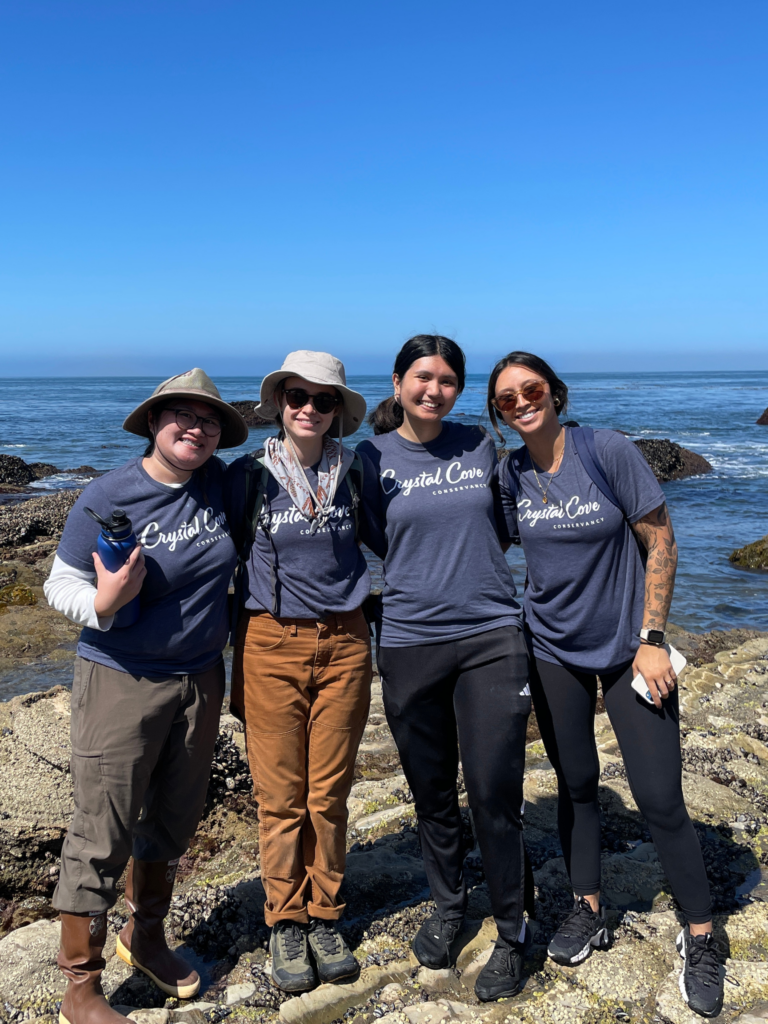 Group of interns wearing Conservancy shirts at the Crystal Cove tide pools