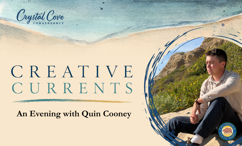 water colored waves and Quin Cooney framed by paint lines