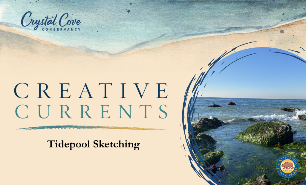 water colored waves and a seagrass-covered tidepool framed by paint lines
