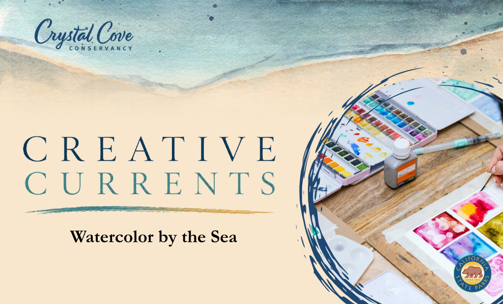 water colored waves with watercolor sets framed by paint lines
