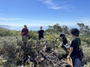 Group of high school interns collecting data near a cactus