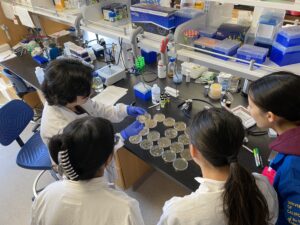 Group of high school interns in a lab, working with petri dishes