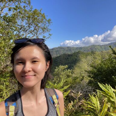Person standing in front of a tropical hiking scenic point