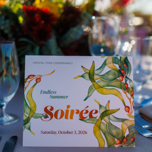 2026 Soiree Recap 1