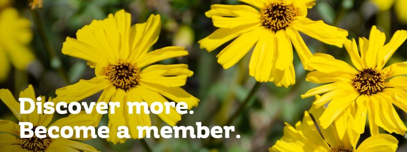 CCC_5295_EmailGraphic-05