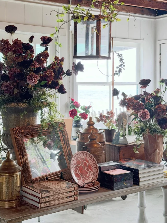 The Park Store & Rotating Exhibition Gallery – Crystal Cove